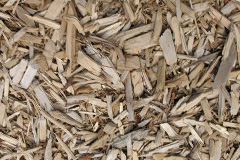 biomass boilers Cupar